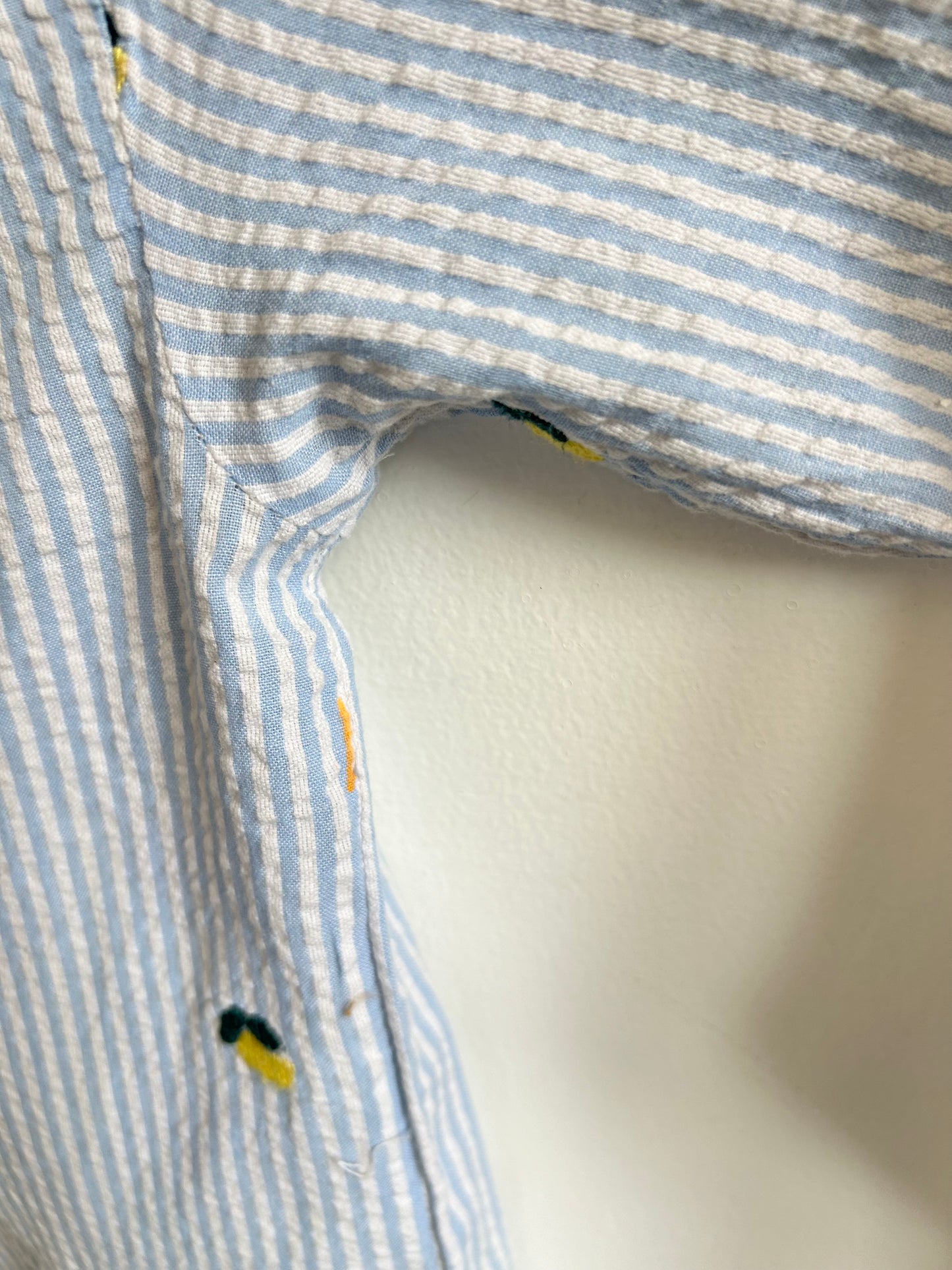 Striped Lemon Shirt