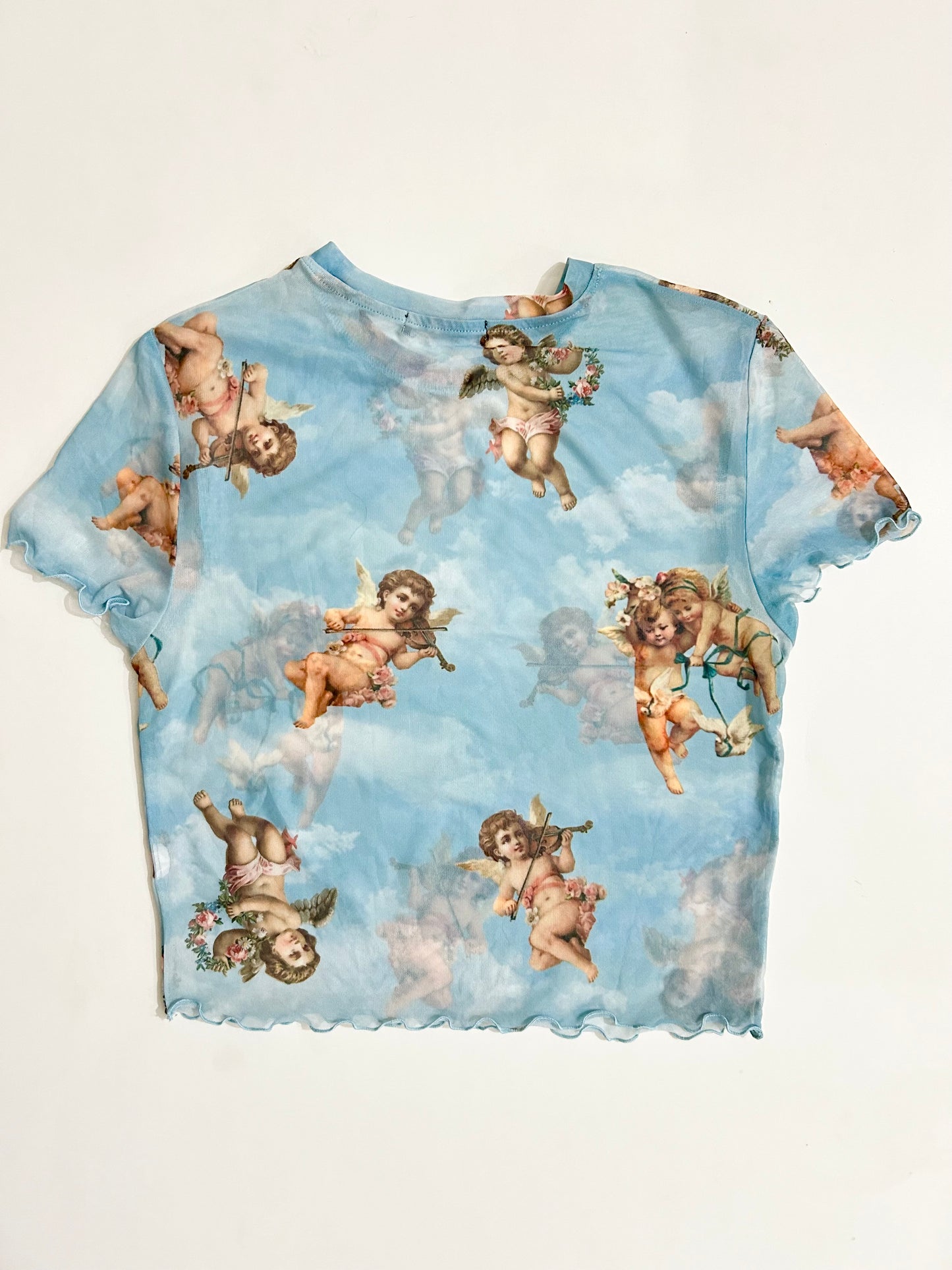 Angel Mesh Top