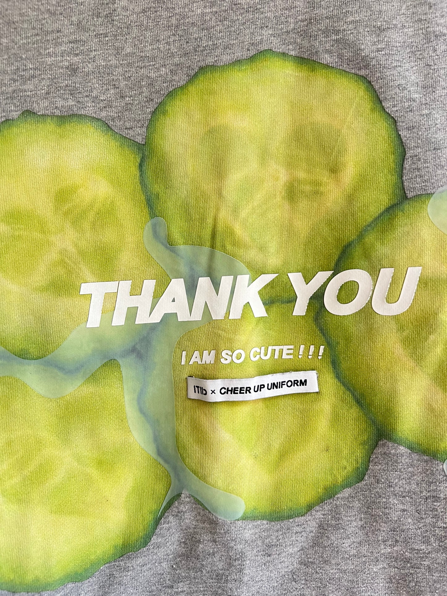 Thankyou Grey Sweatshirt