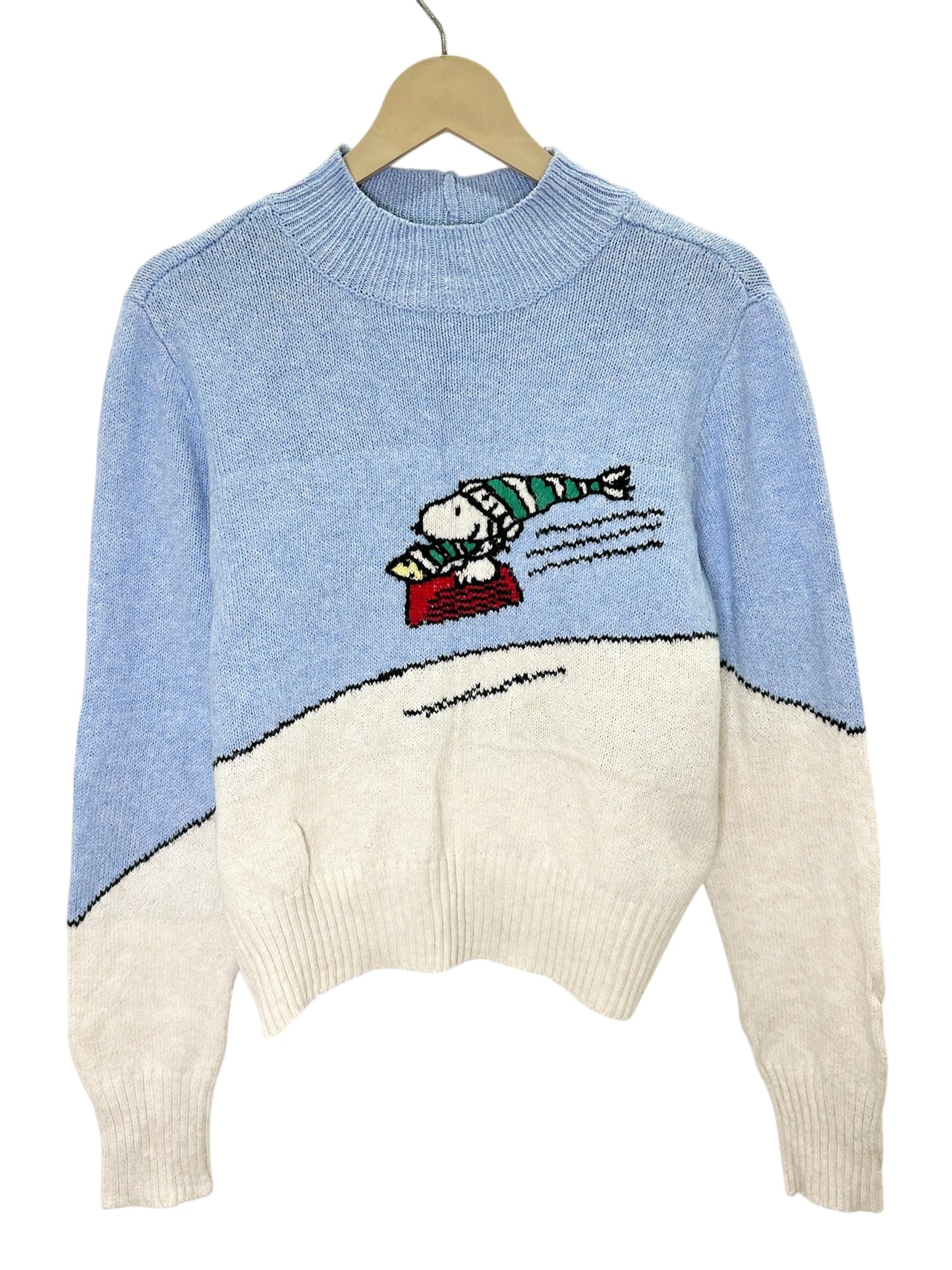 Snow boarding Sweater