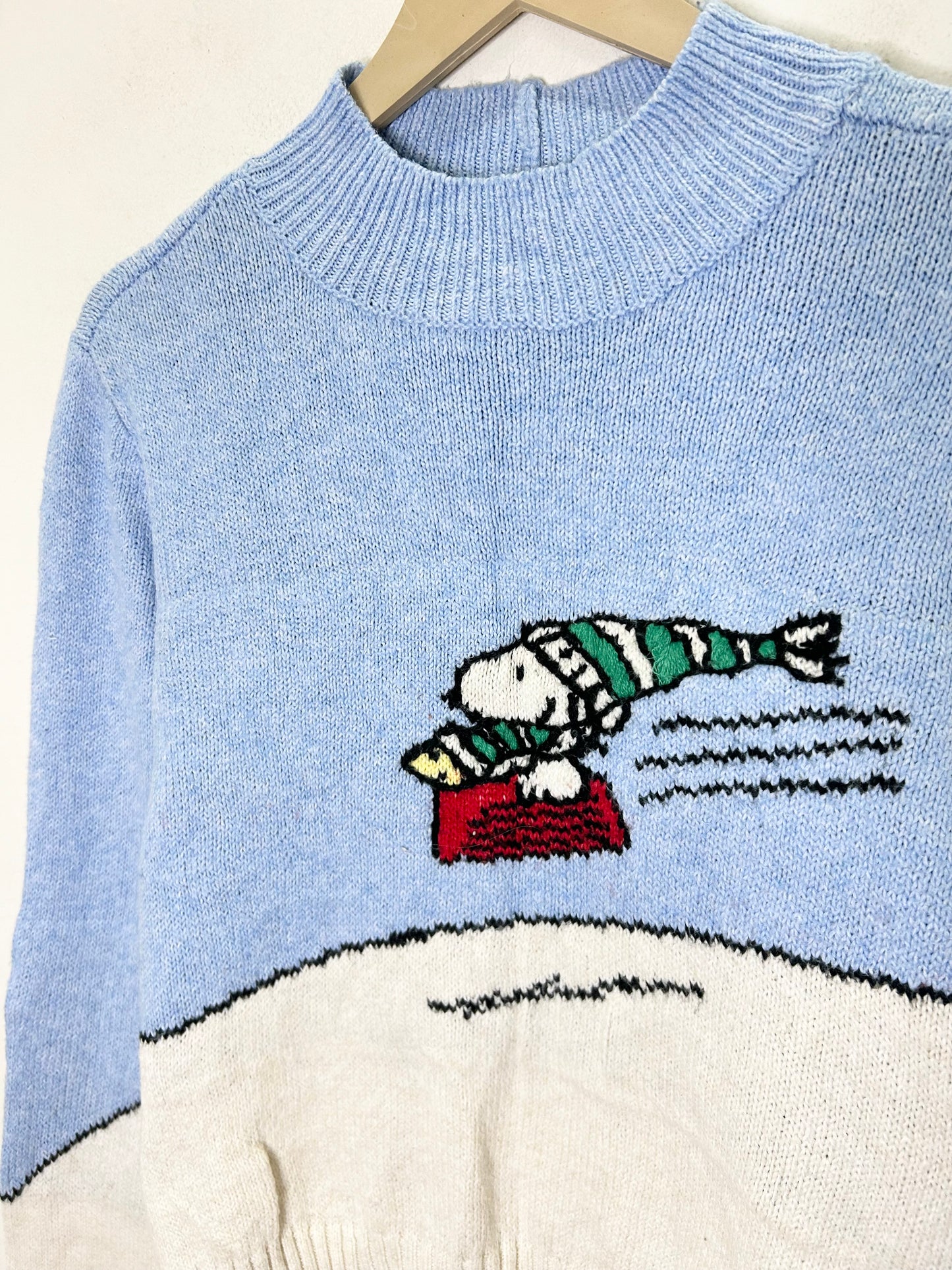 Snow boarding Sweater