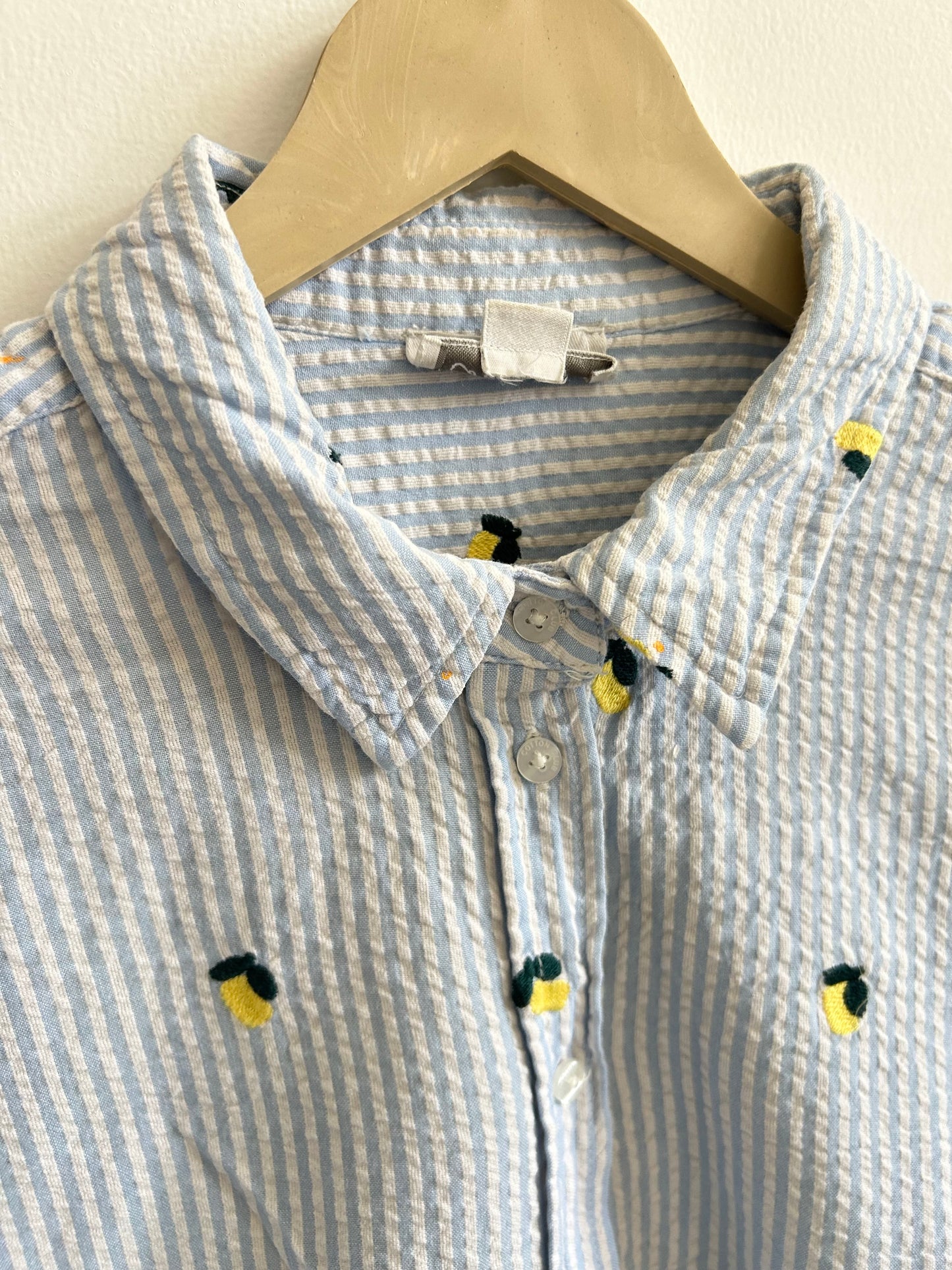 Striped Lemon Shirt