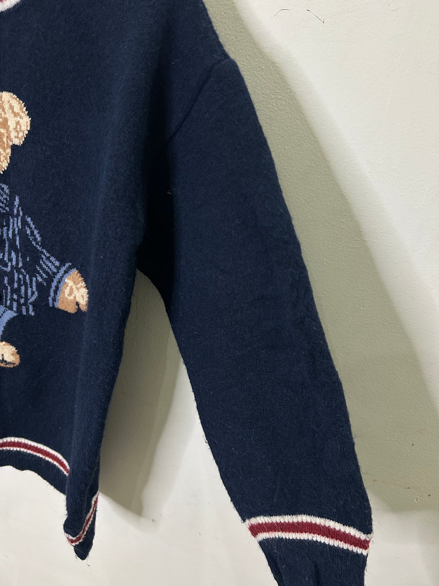 Teddy Navy Blue Sweater