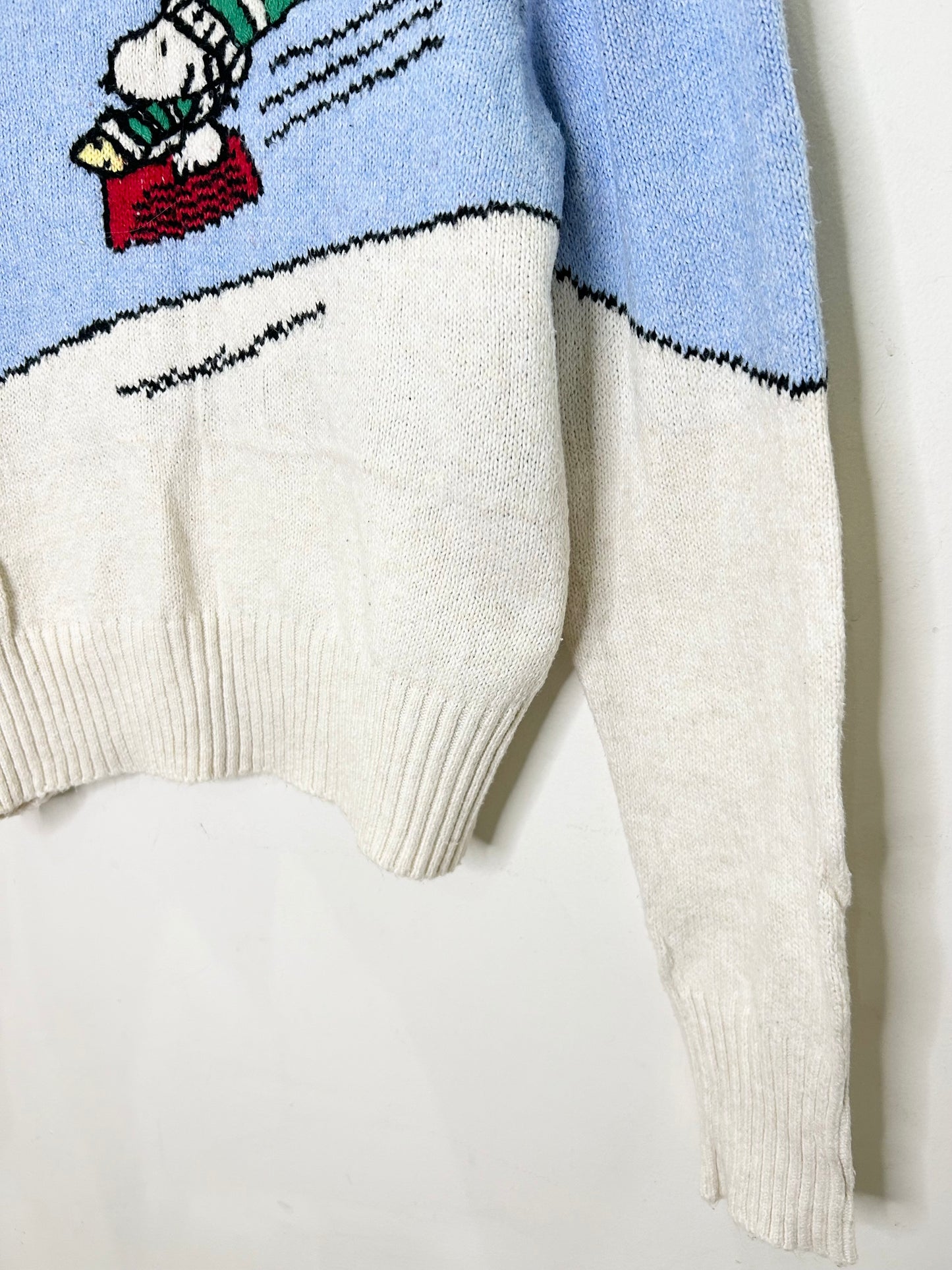 Snow boarding Sweater