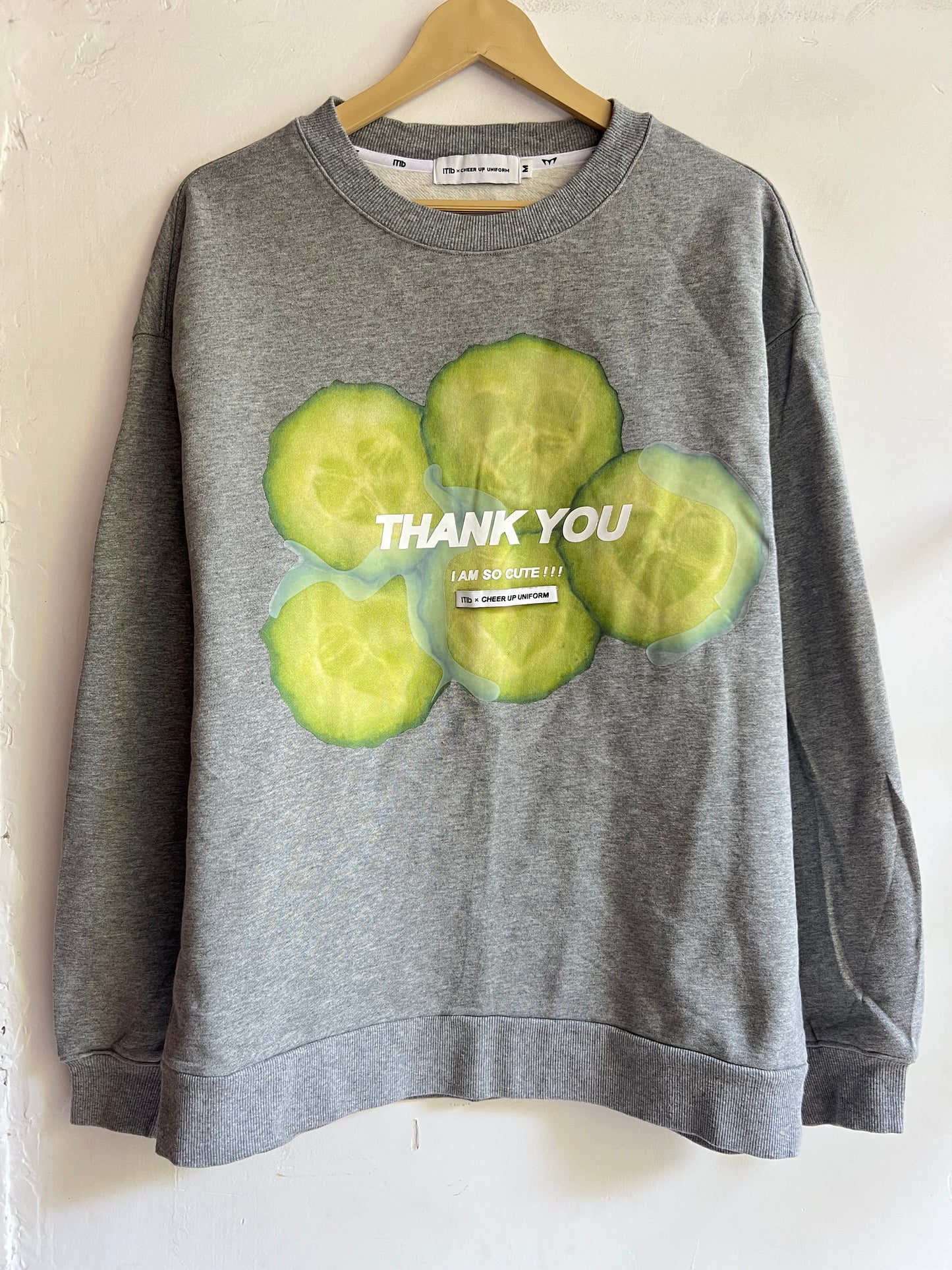 Thankyou Grey Sweatshirt
