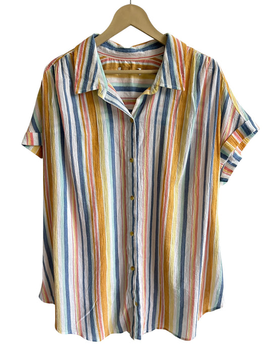 Striped Shirt