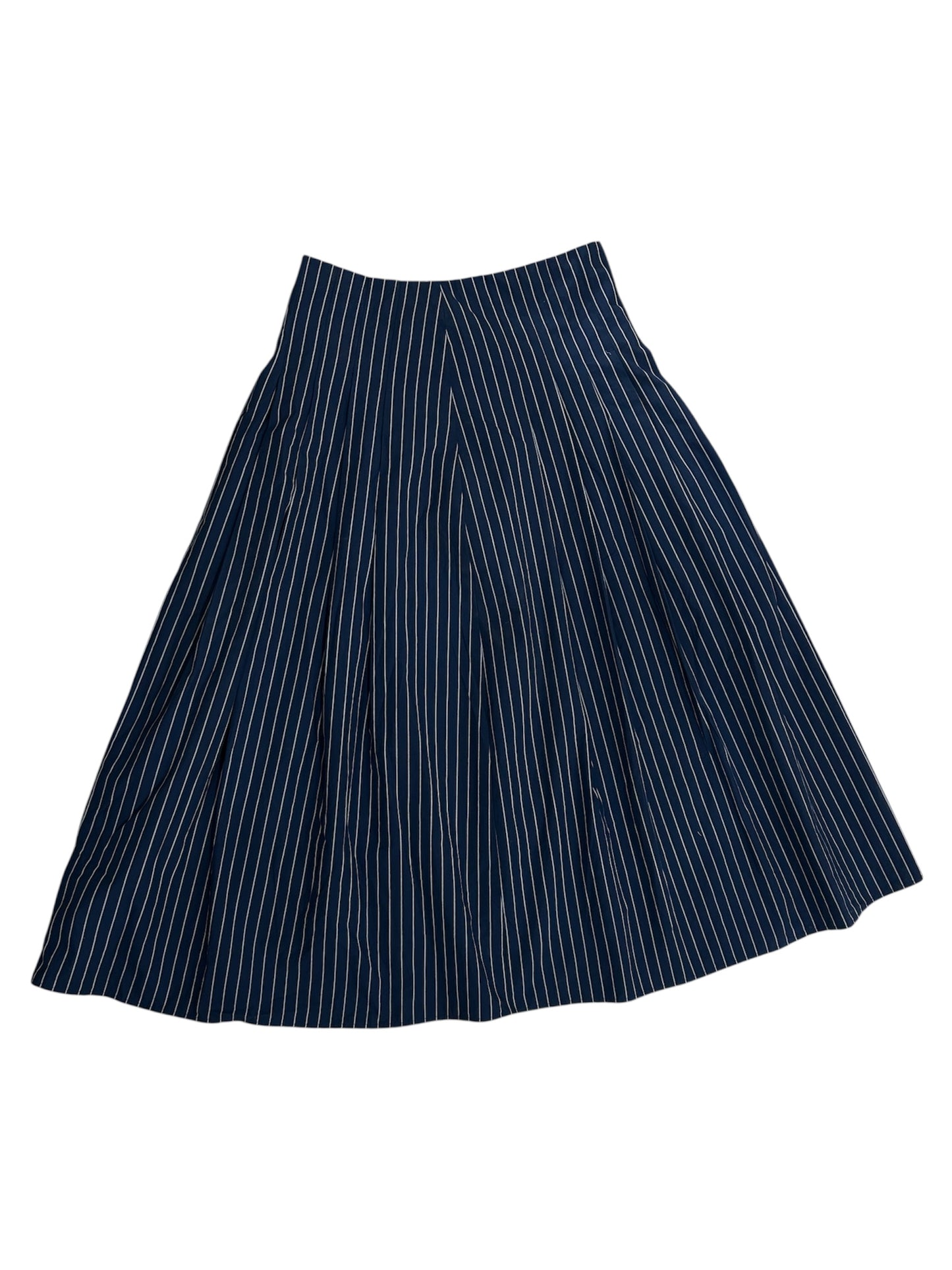 Blue Striped Skirt