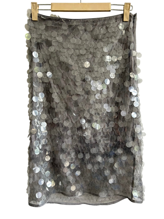 Grey Sequined Skirt