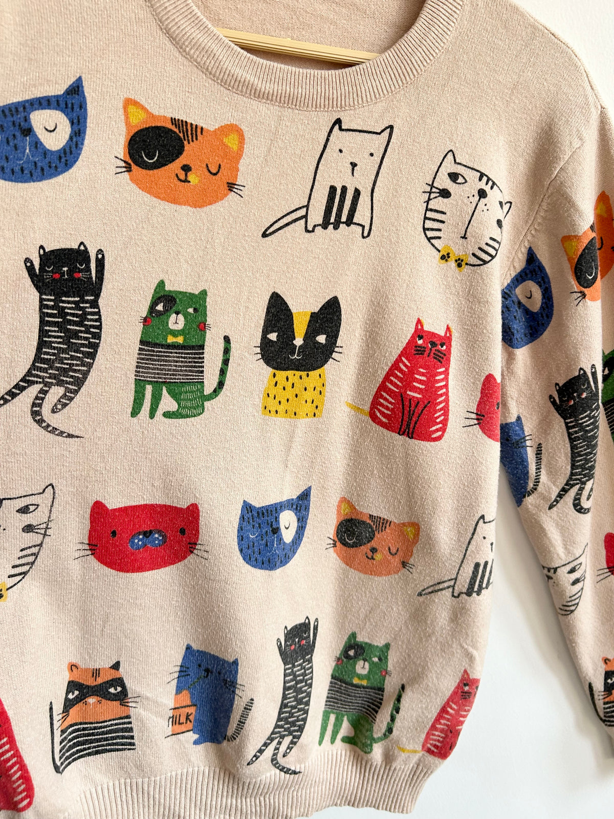 Vintage Doodle Cat Print Crewneck Sweater