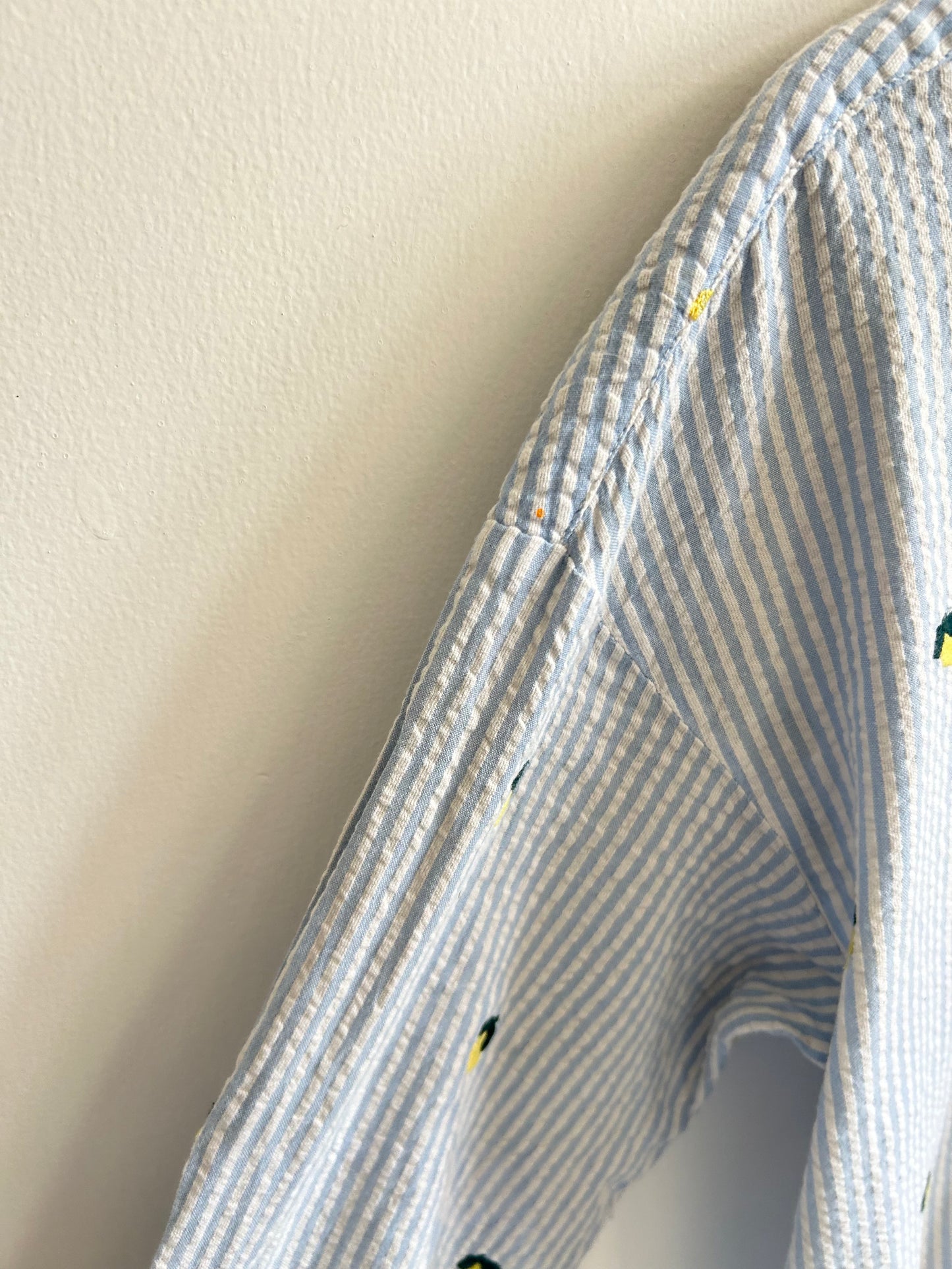 Striped Lemon Shirt
