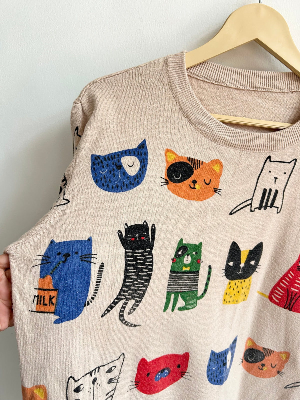 Vintage Doodle Cat Print Crewneck Sweater
