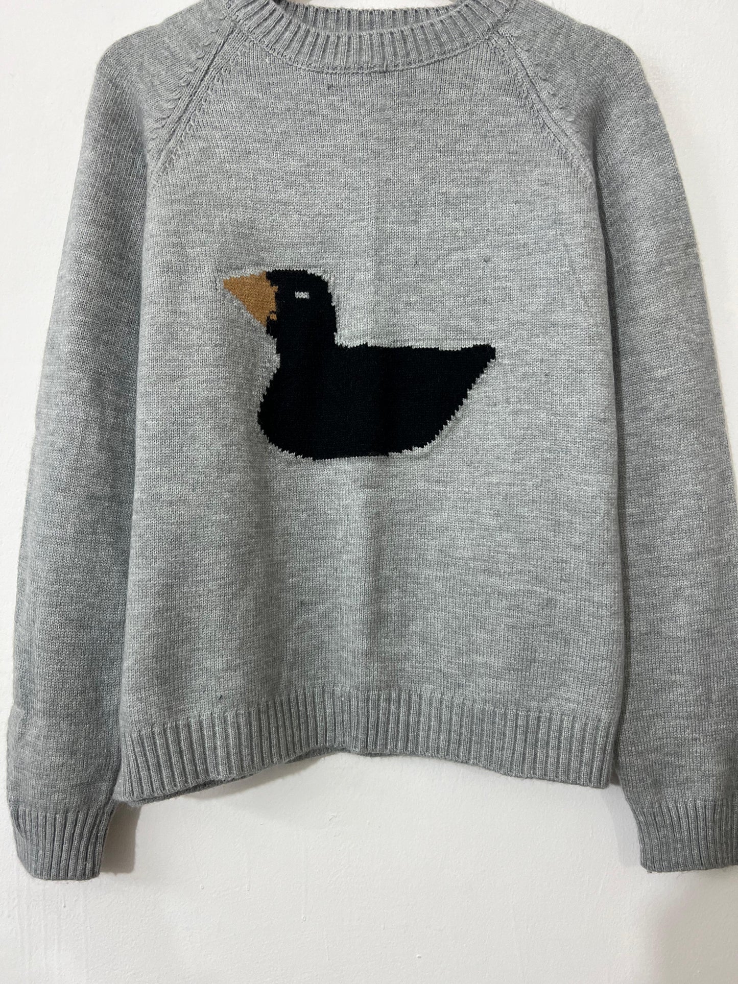 Duck Sweater