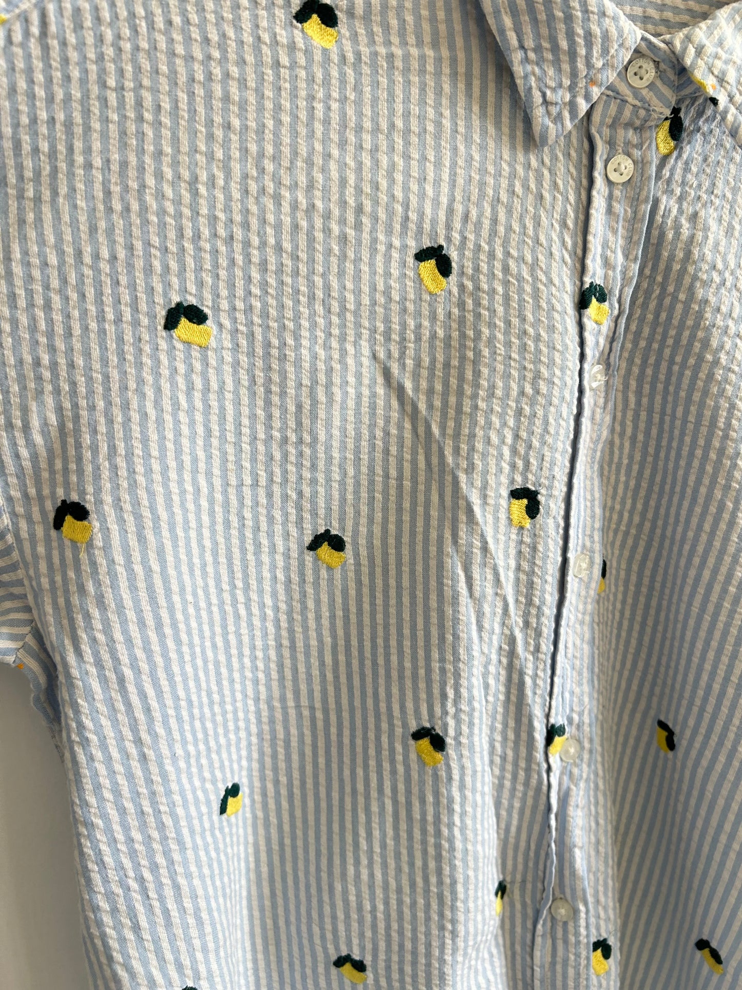 Striped Lemon Shirt