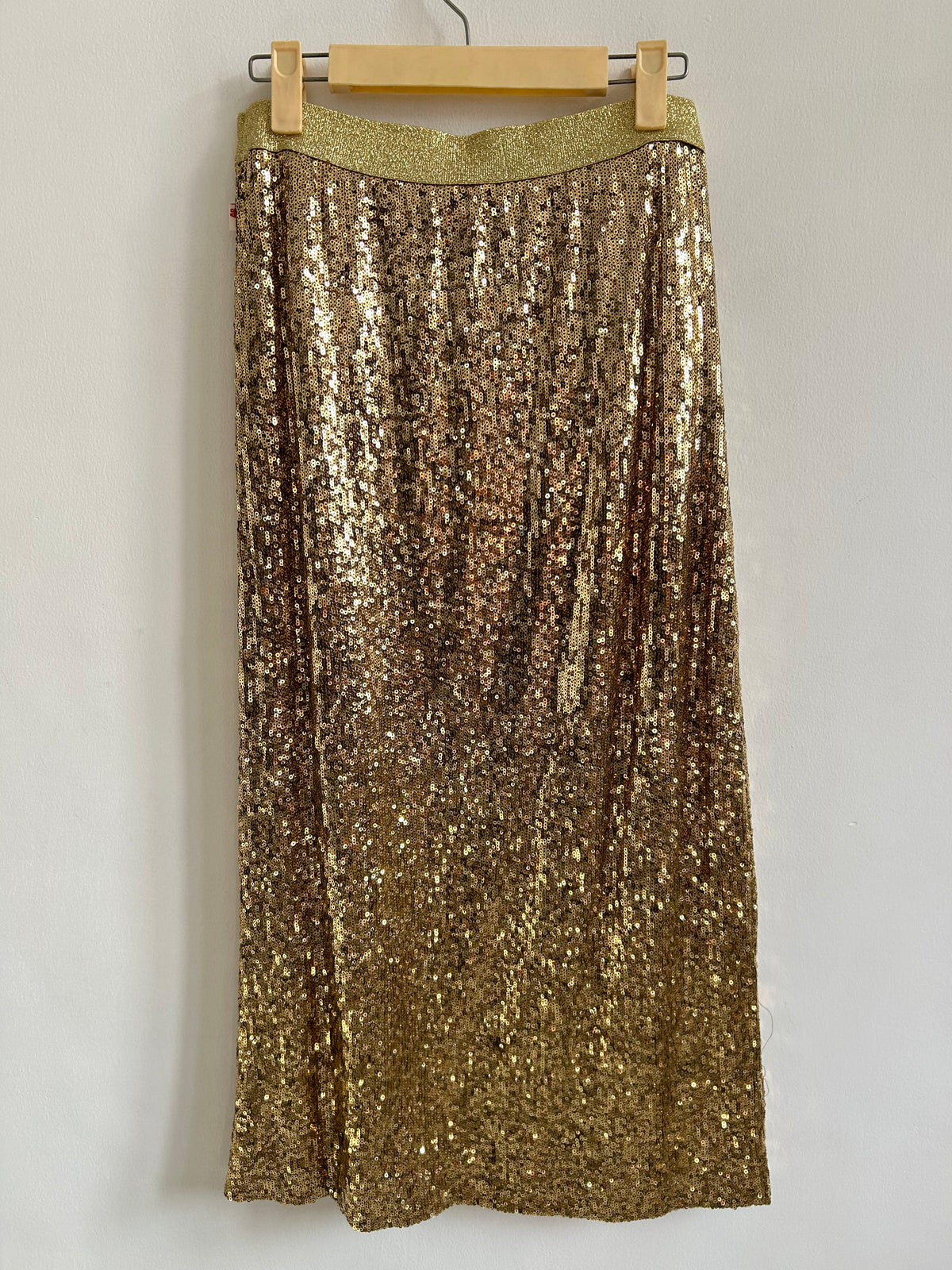 Golden Shimmer Skirt